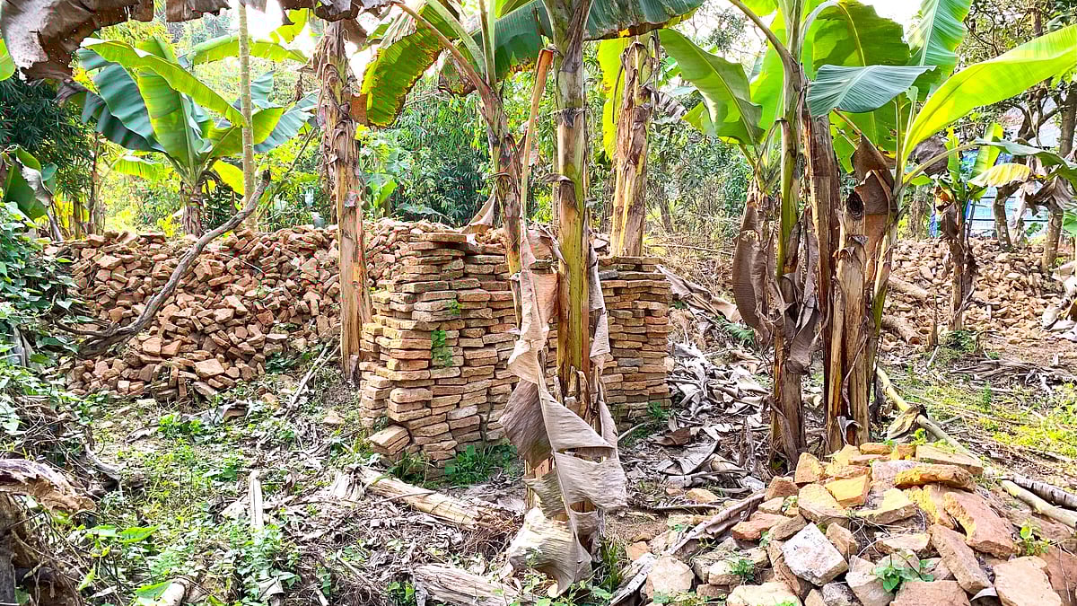 ছবি: সাদিক মৃধা