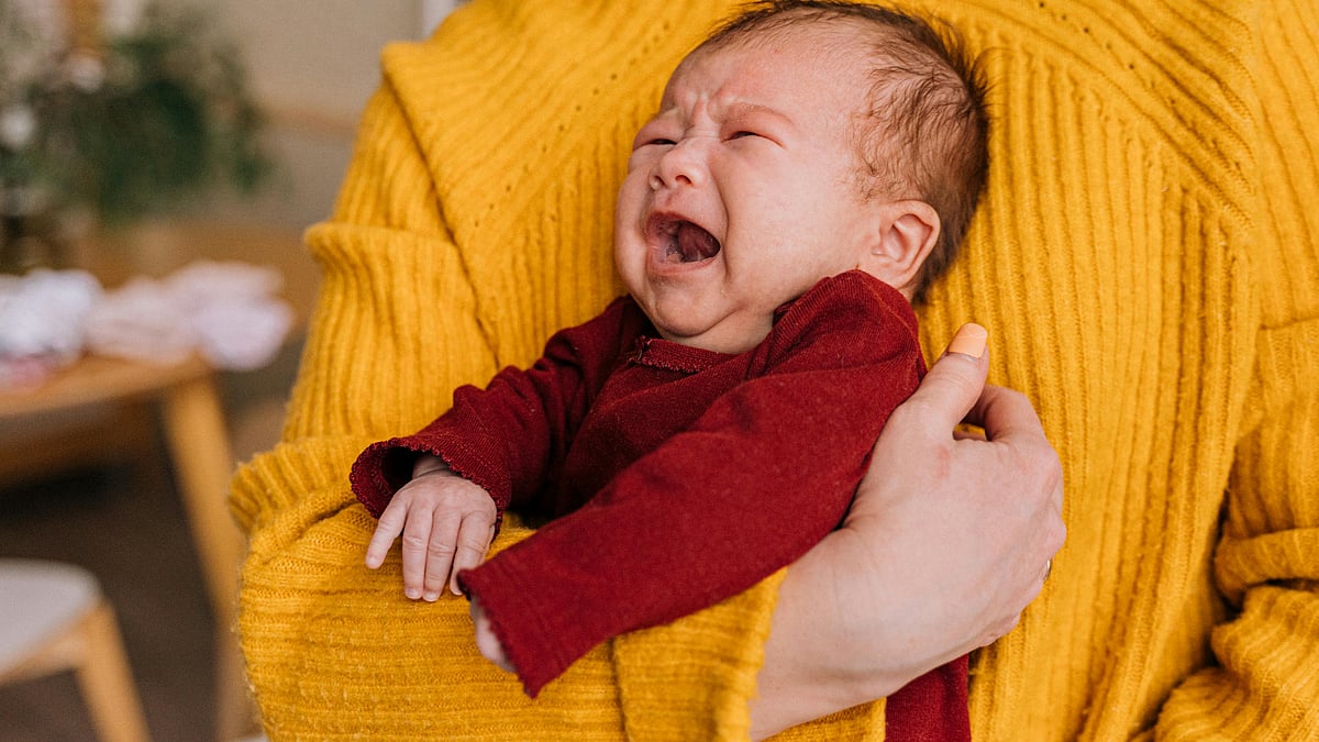 ছবি: পেক্সেলস