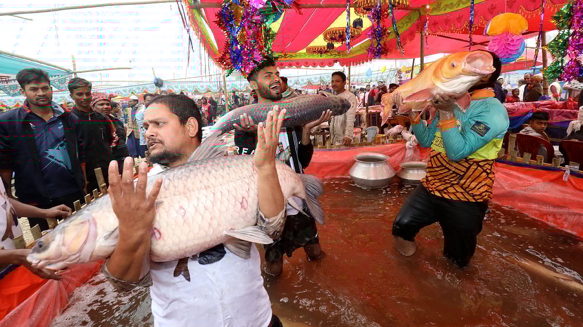 ছবি: সোয়েল রানা