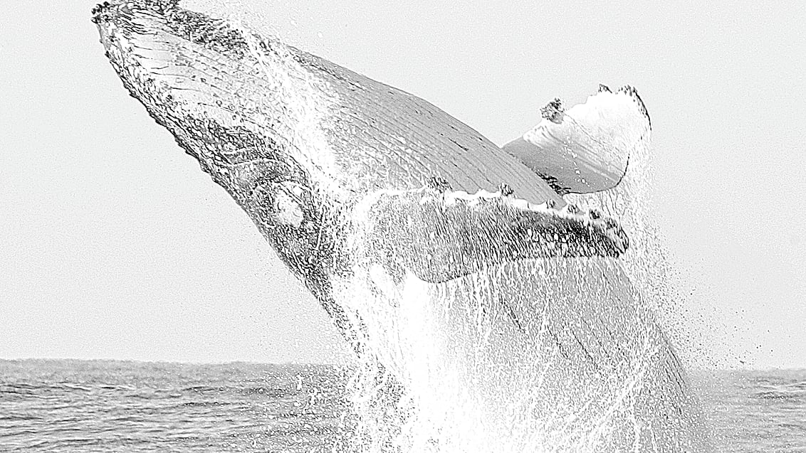 ছবি: রয়টার্স