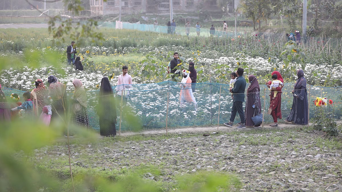 প্রাকৃতিক সৌন্দর্য উপভোগে এসেছেন দর্শনার্থীরা