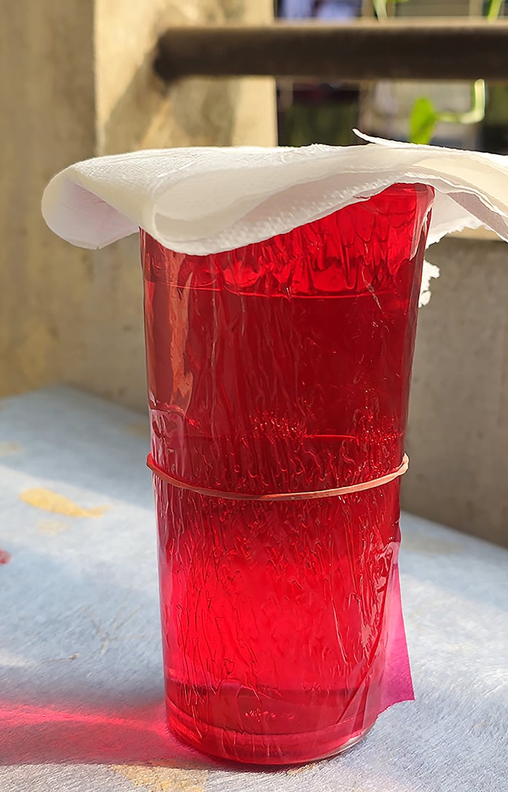 যেভাবে সহজেই মনের অসুখ সারাবে রং, সূর্য আর পানি