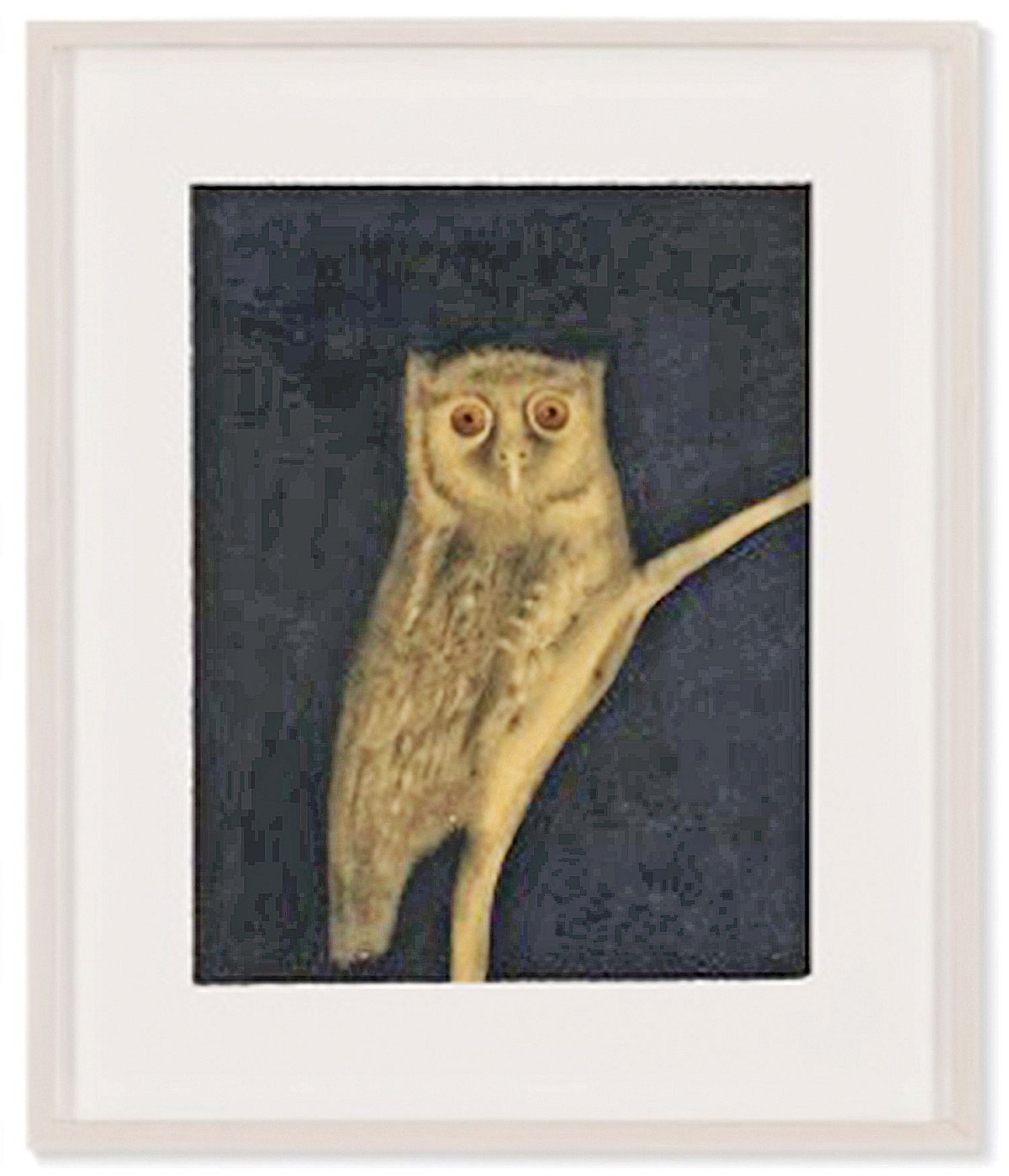 ছবি: ক্রিস্টিসের সৌজন্যে