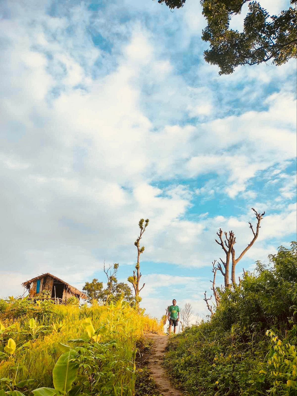 মাত্র এক হাজার টাকায় বান্দরবানের পাহাড়ের রাজা কিংবা রানি হতে চান