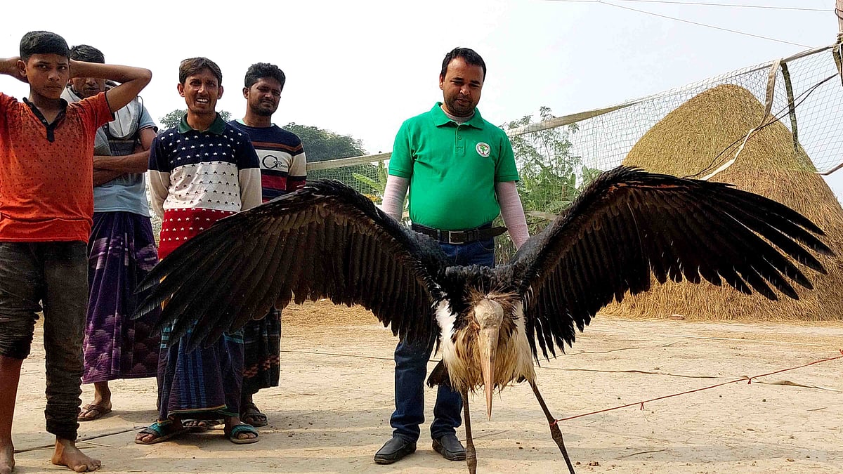 ছবি: প্রথম আলো