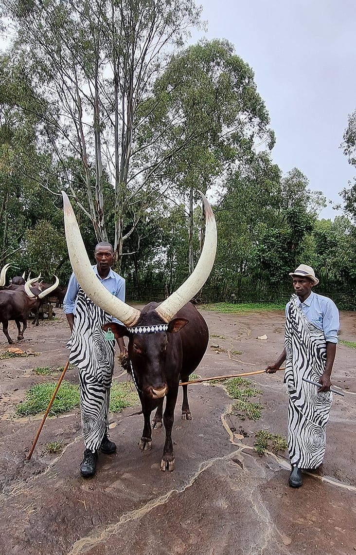 রুয়ান্ডার রাজার কুটির