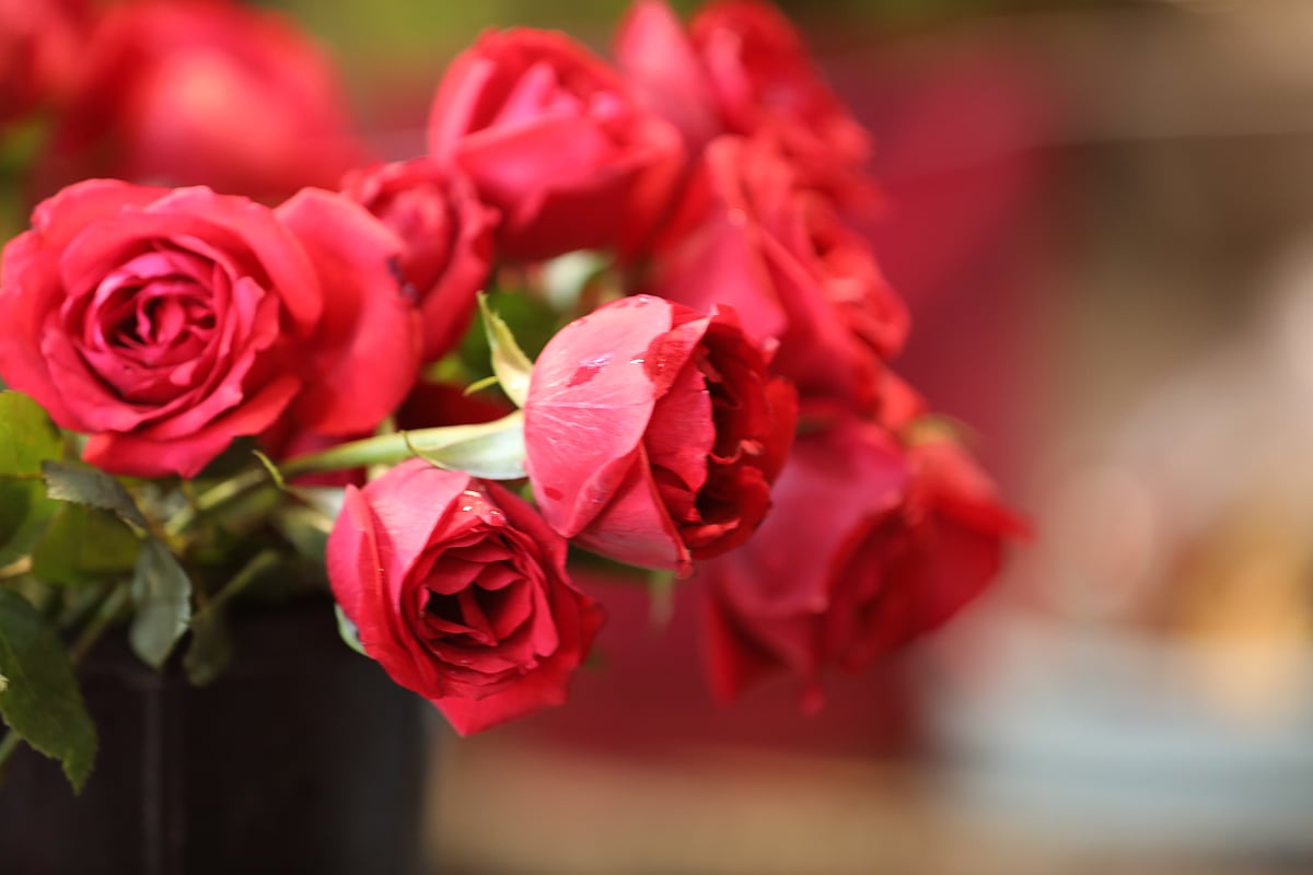  ছবি: সোয়েল রানা 