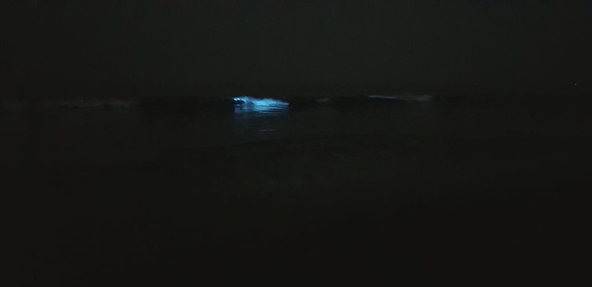 ছবি: লেখক 