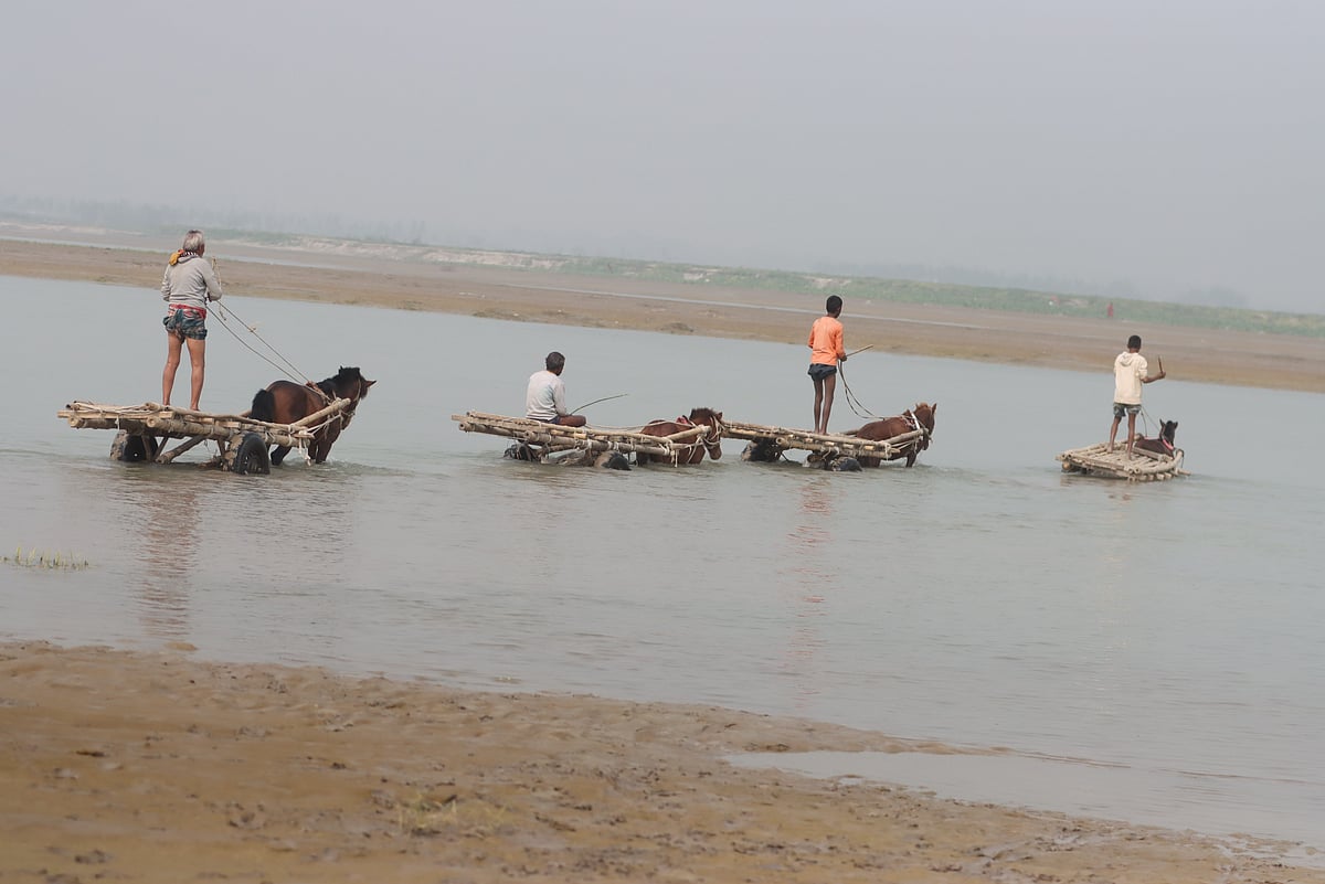 সামান্য পানি ডিঙিয়ে নদী পার হচ্ছে ঘোড়ার গাড়ি 