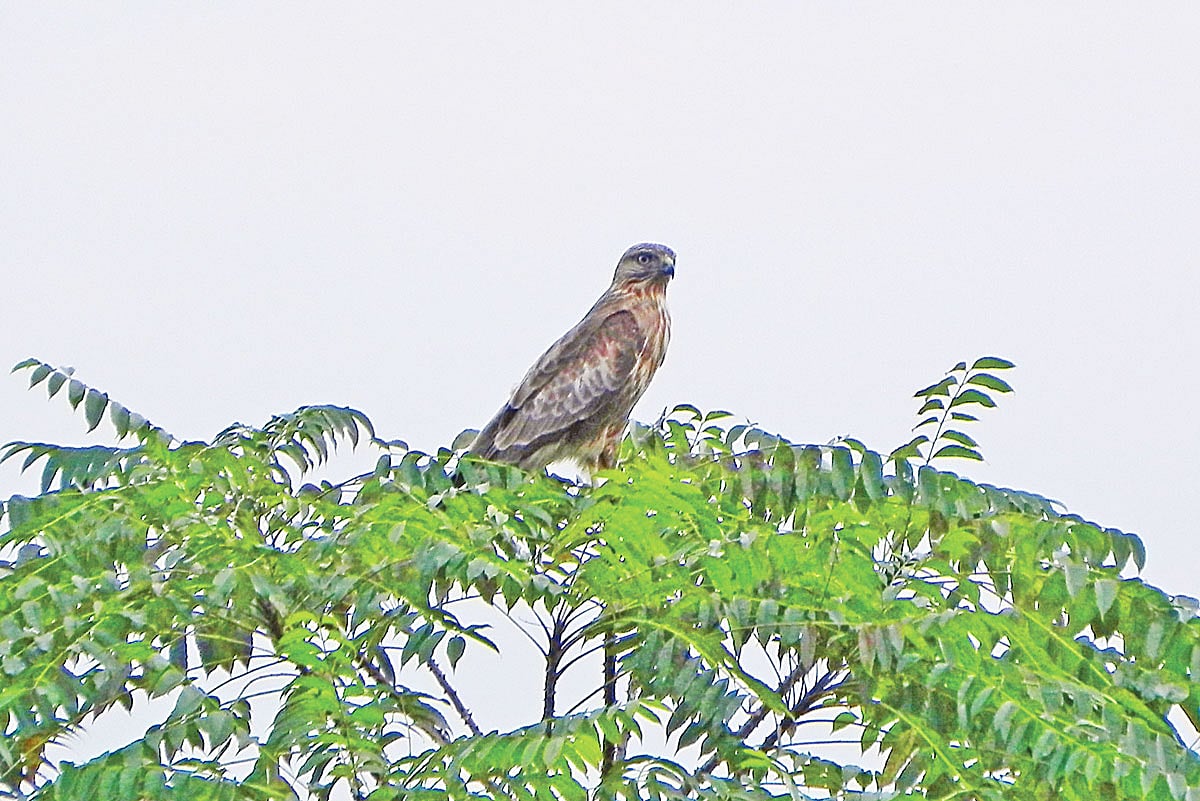 ছবি: লেখক