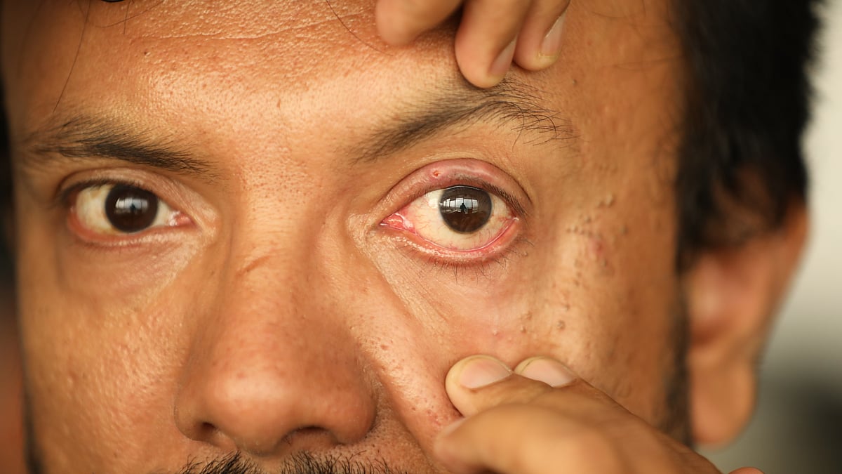 ছবি: প্রথম আলো