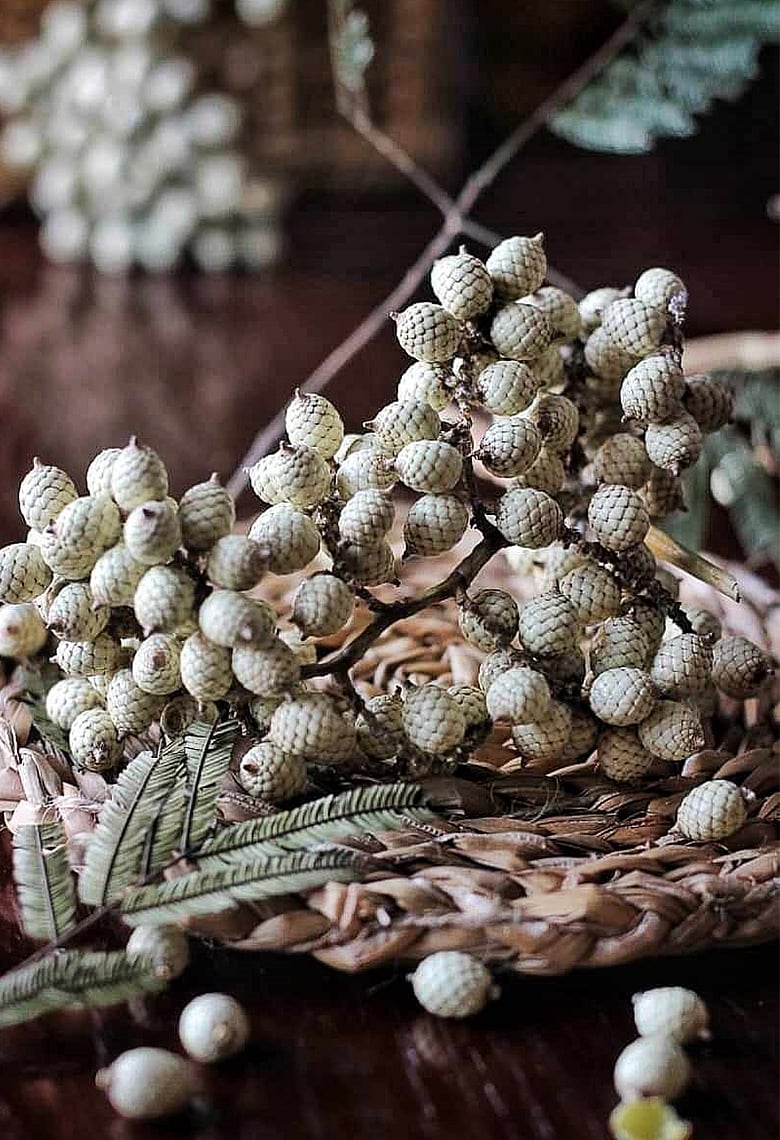 শেষ কবে খেয়েছেন বেতফল? এর আছে অবাক করা সব পুষ্টিগুণ