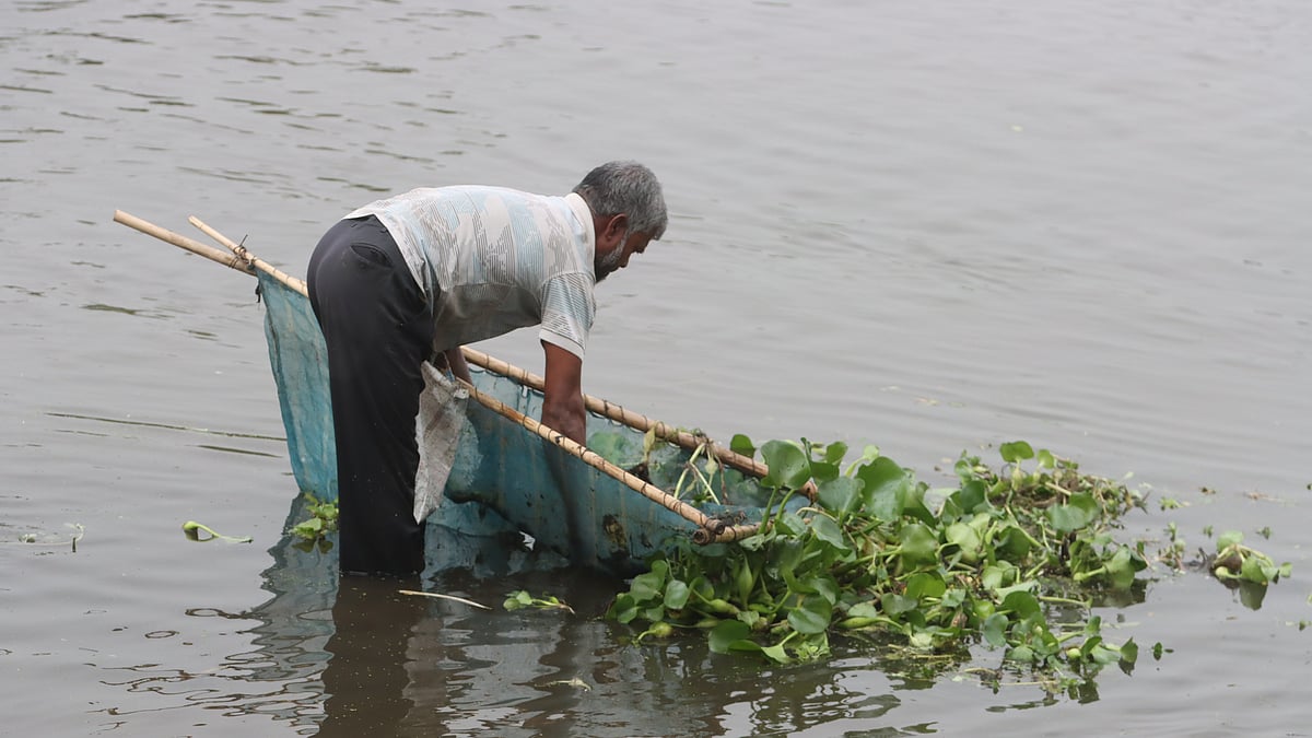 ‘ঠেলা জাল’ দিয়ে মাছ ধরছেন এক ব্যক্তি
