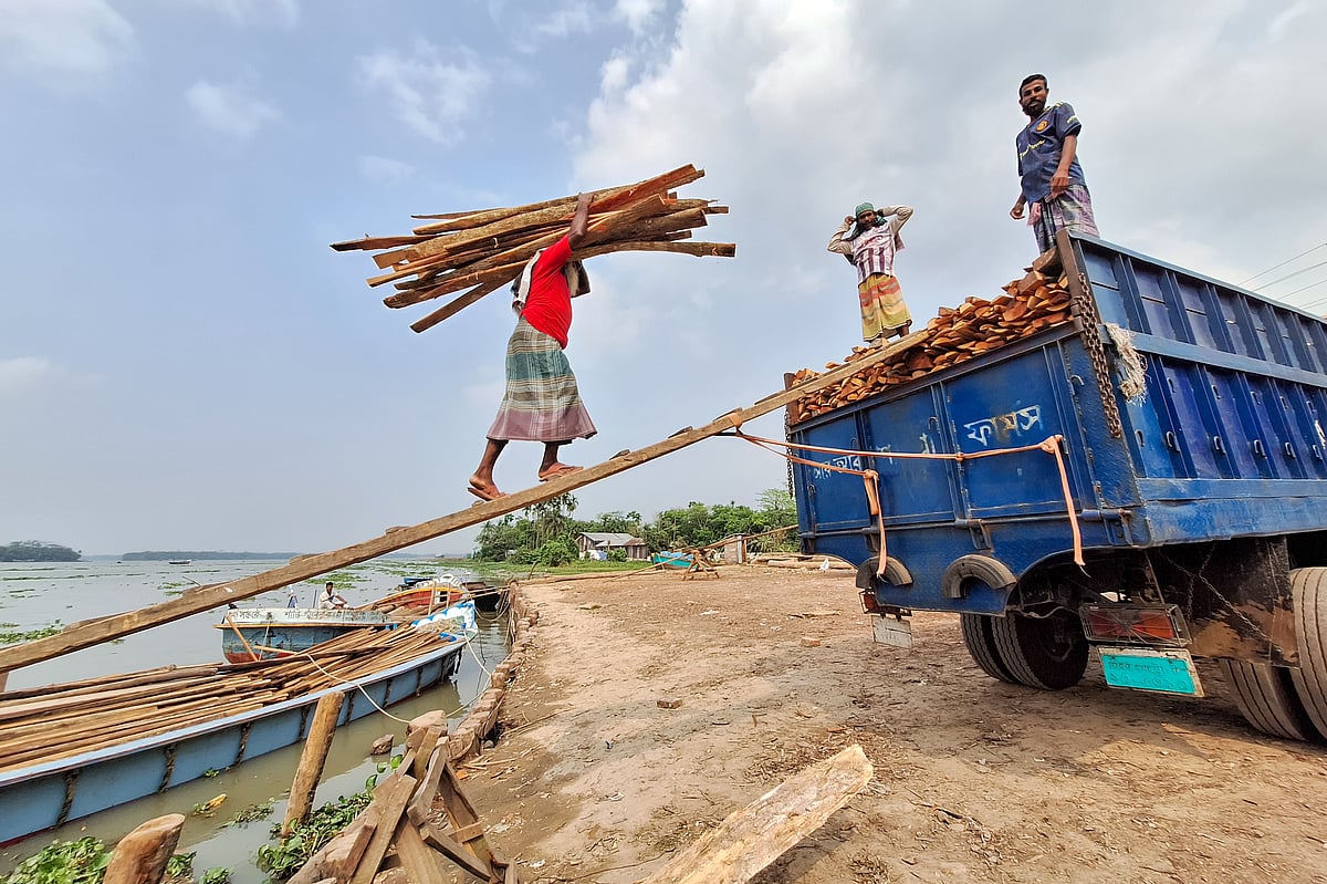 ছবি: সাইয়ান