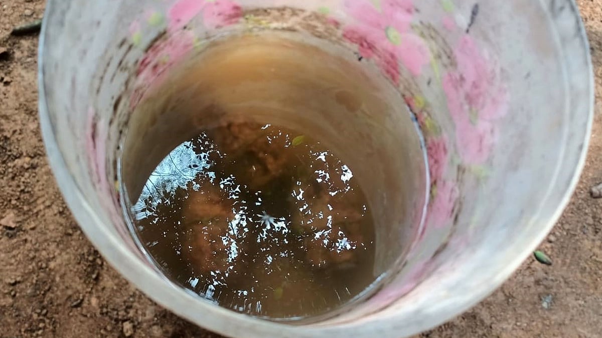 ছবি: প্রথম আলো