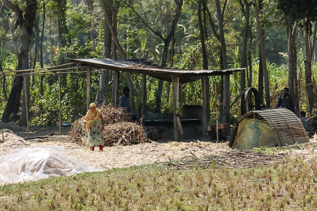 ছবি: সাইয়ান  