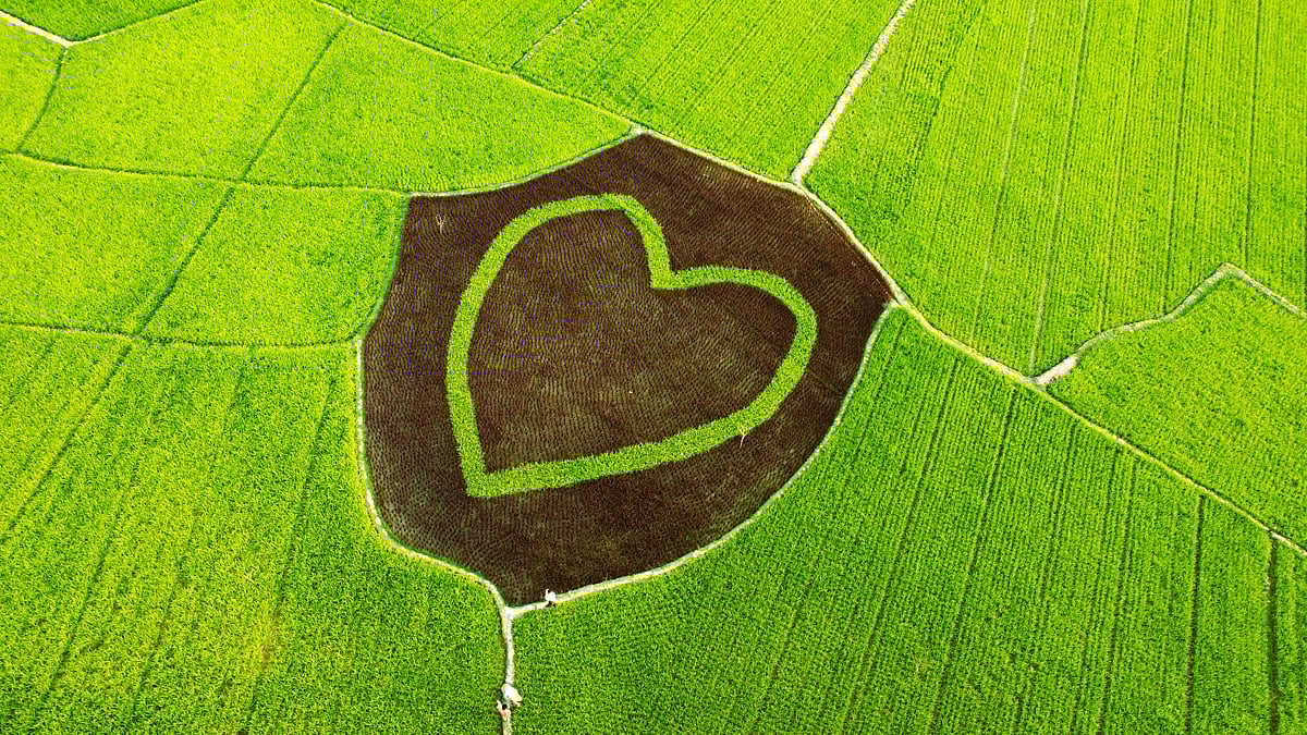 ছবি: সাদিক মৃধা 