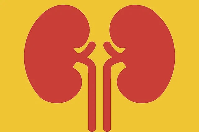 প্রতীকী ছবি