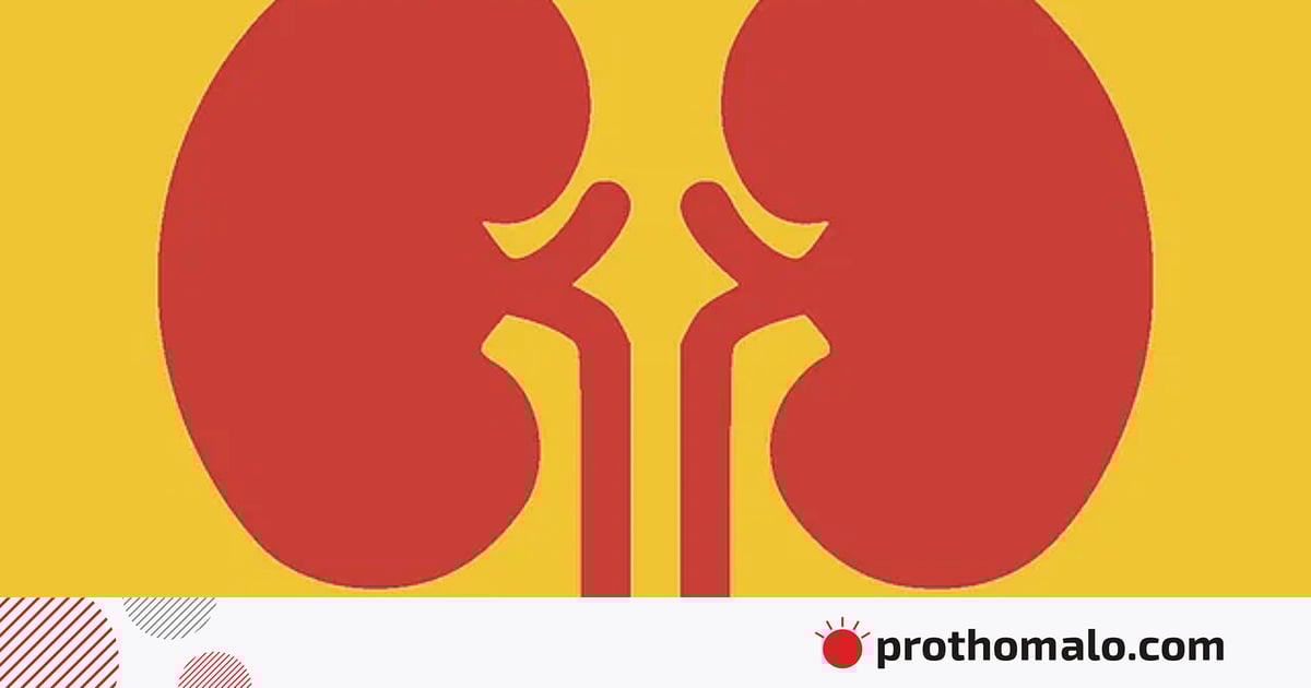 কিডনির রোগ প্রতিরোধে কমিউনিটি ক্লিনিককে সম্পৃক্ত করার আহ্বান কিডনির রোগ প্রতিরোধে কমিউনিটি ক্লিনিককে সম্পৃক্ত করার আহ্বান