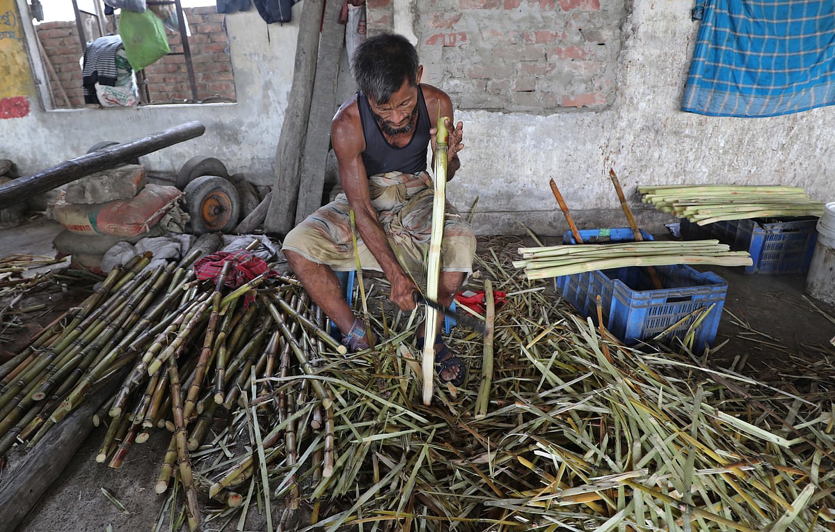 আখ কেটে পরিষ্কার করছেন একজন