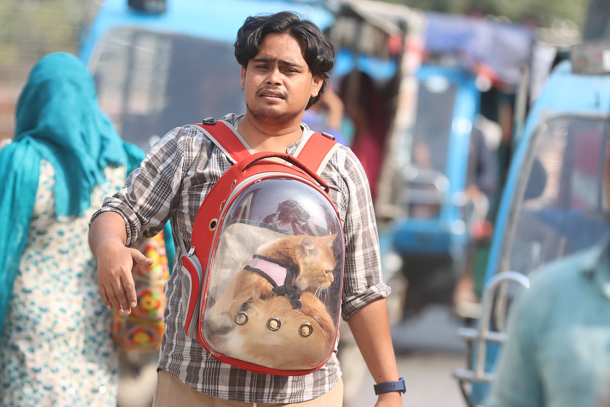 ছবি: মঈনুল ইসলাম