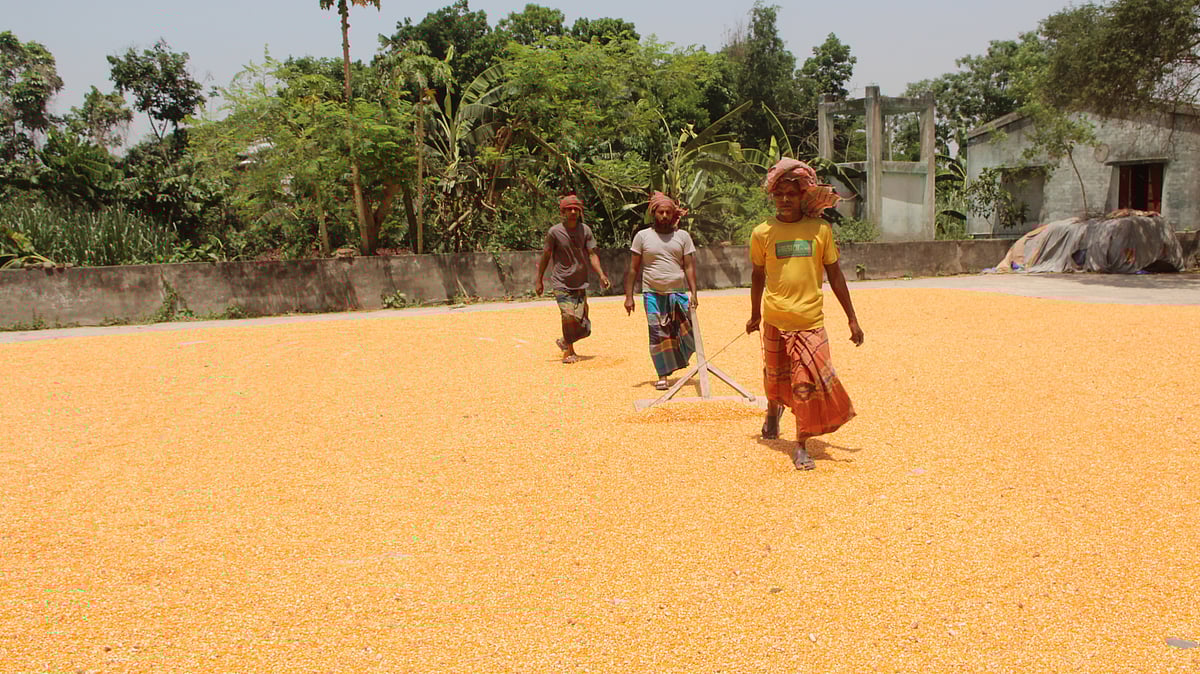 ছবি: প্রথম আলো