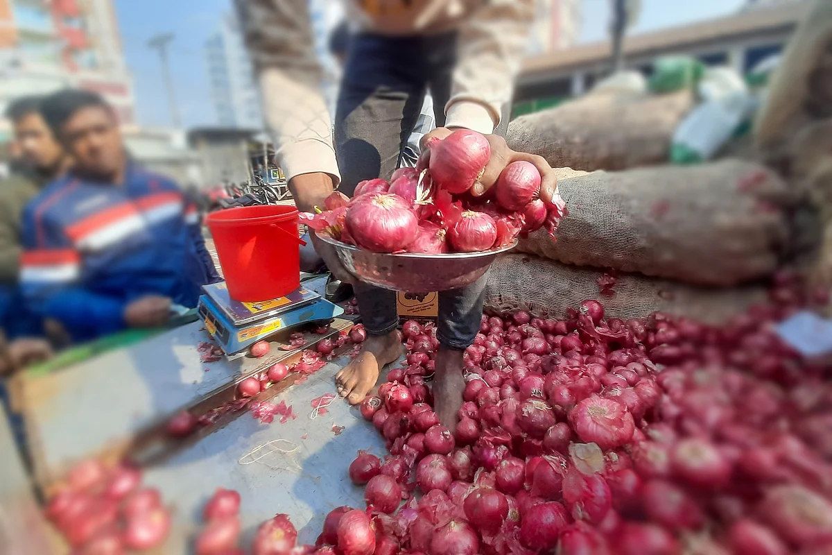 ভারতীয় পেঁয়াজফাইল ছবি