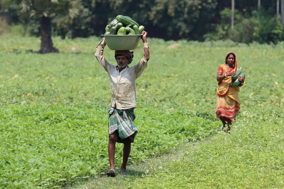 ছবি: আলীমুজ্জামান