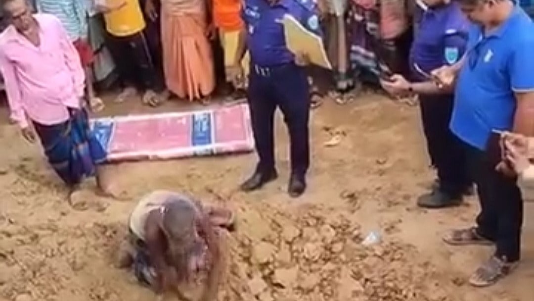 ছবি: সংগৃহীত