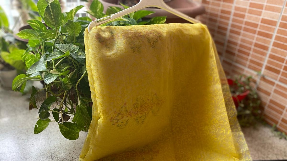  ছবি: লেখক