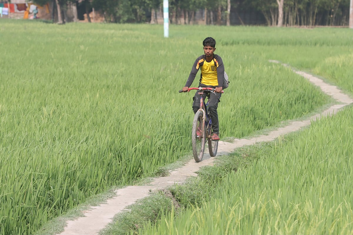 ছবি: মঈনুল ইসলাম  
