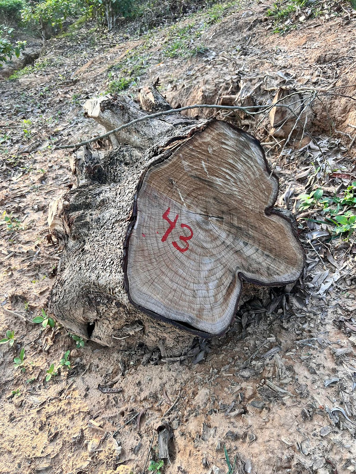 ছবি: প্রথম আলো