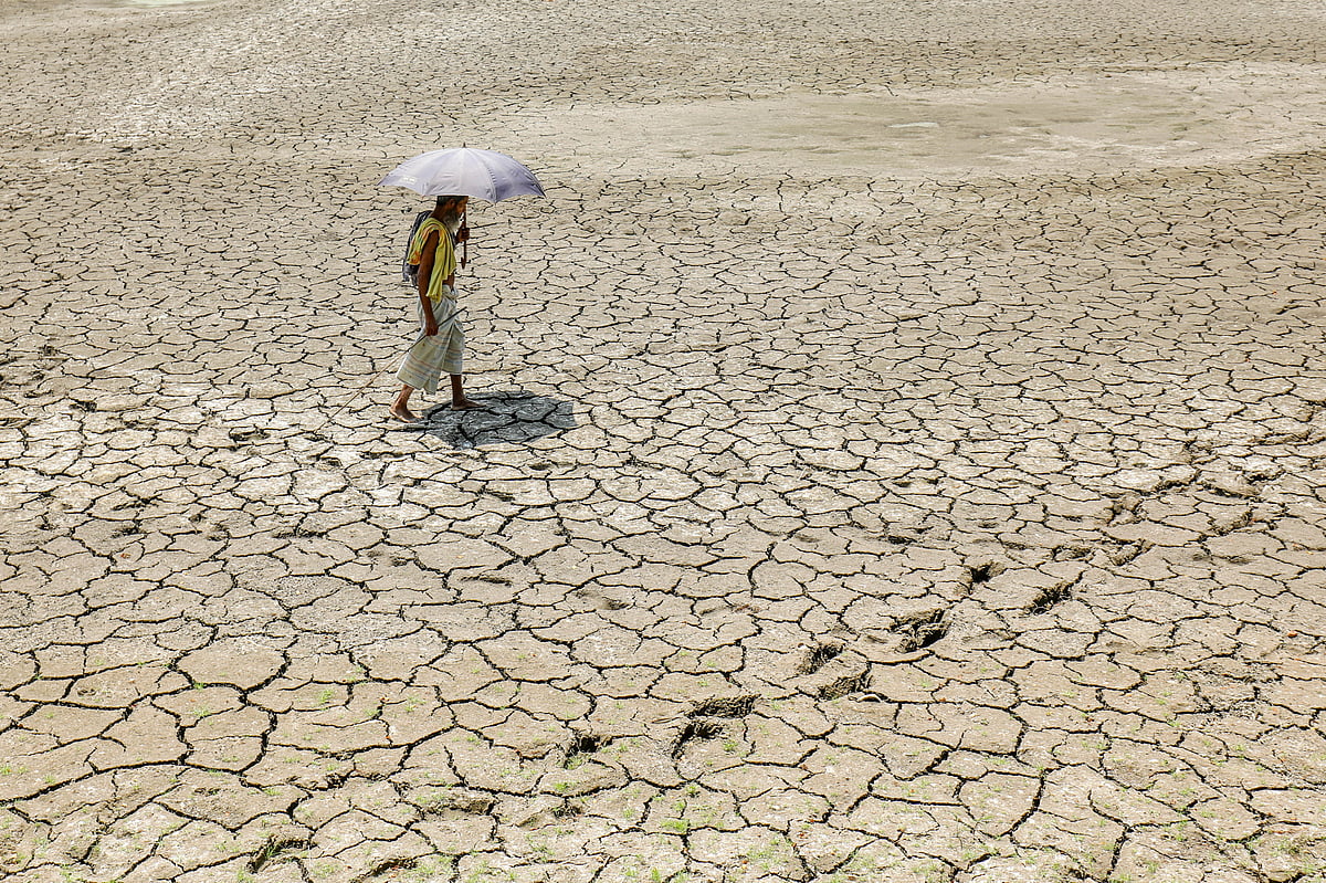 ছবি: সাদ্দাম হোসেন 