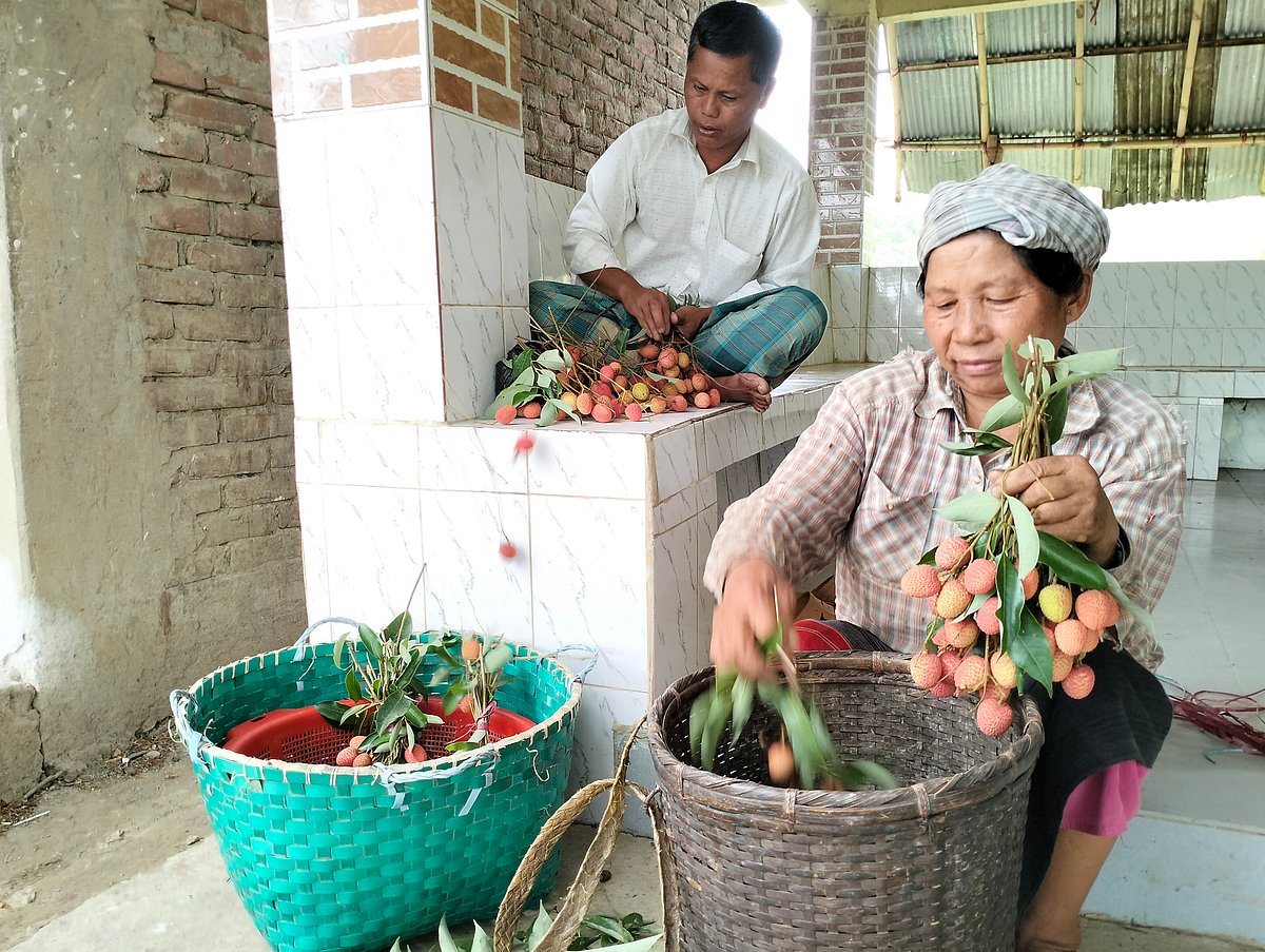 ছবি: মং হাই সিং মারমা 