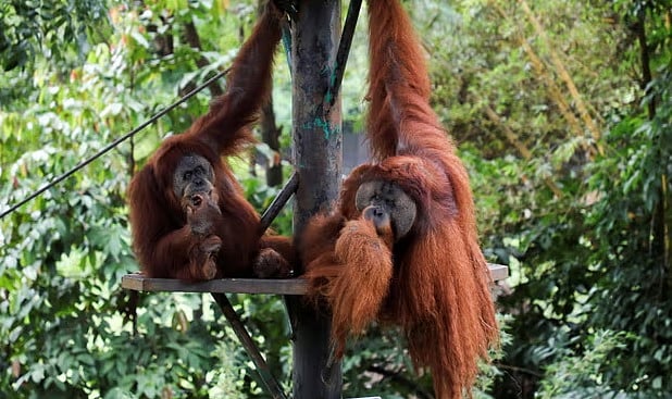 ছবি : রয়টার্স