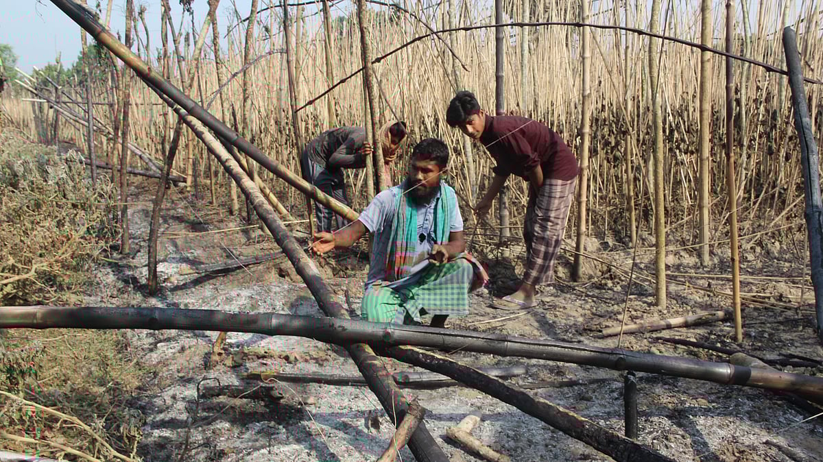 ছবি: সংগৃহীত 