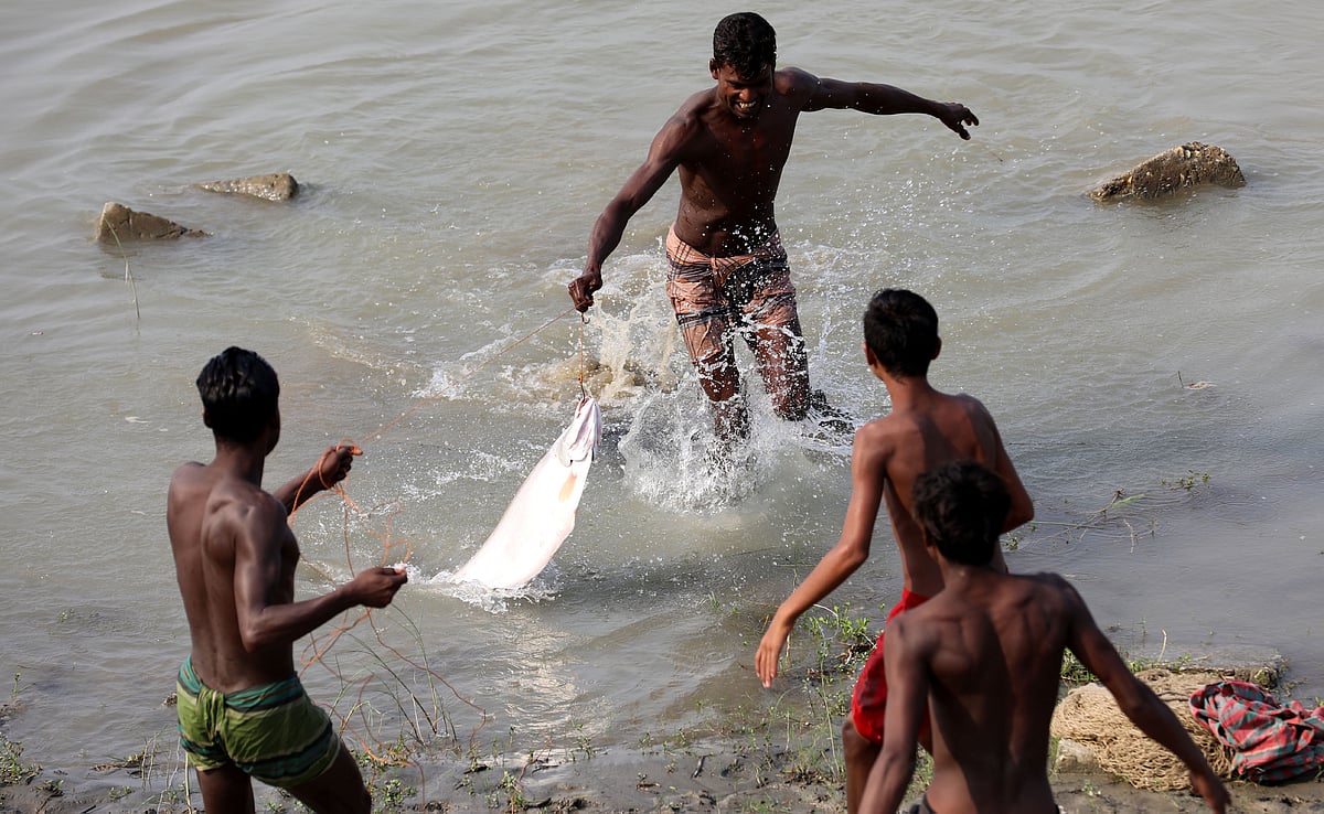 বড়শিতে ধরা পড়েছে বড় চিতল মাছ 