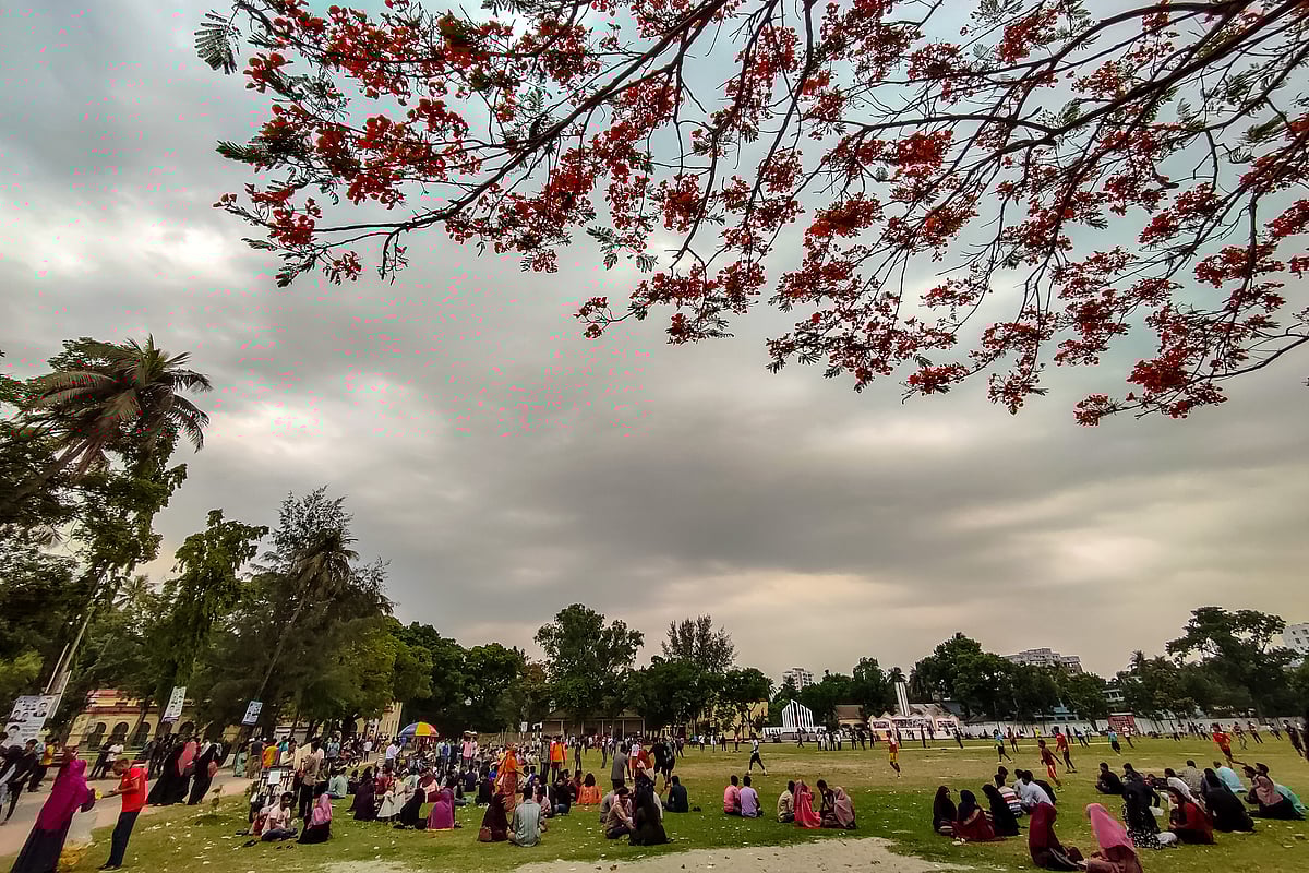 ছবি: হাসান মাহমুদ 