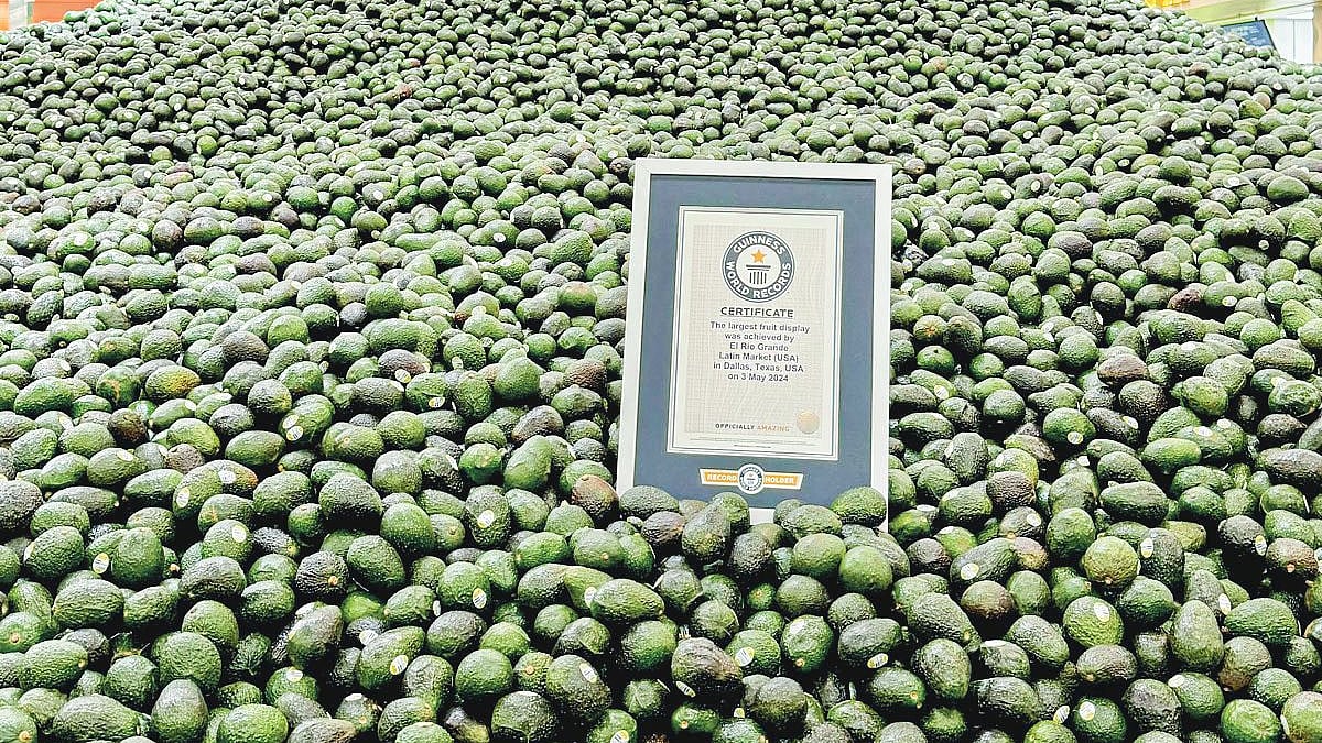 ছবি: ইনস্টাগ্রাম থেকে