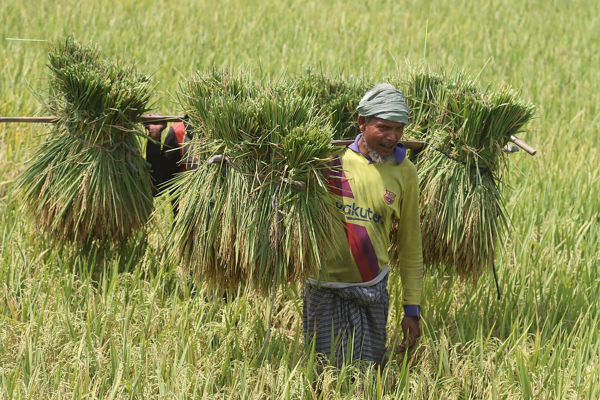 ছবি: মঈনুল ইসলাম