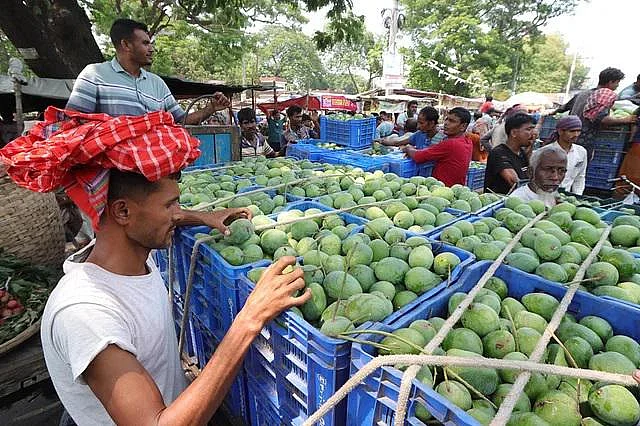 গ্রীষ্মকালে আম ও লিচুর মৌসুমে ভ্রমণ করলে আমবাগান ঘুরে দেখা চমৎকার অভিজ্ঞতা পাওয়া যাবে 