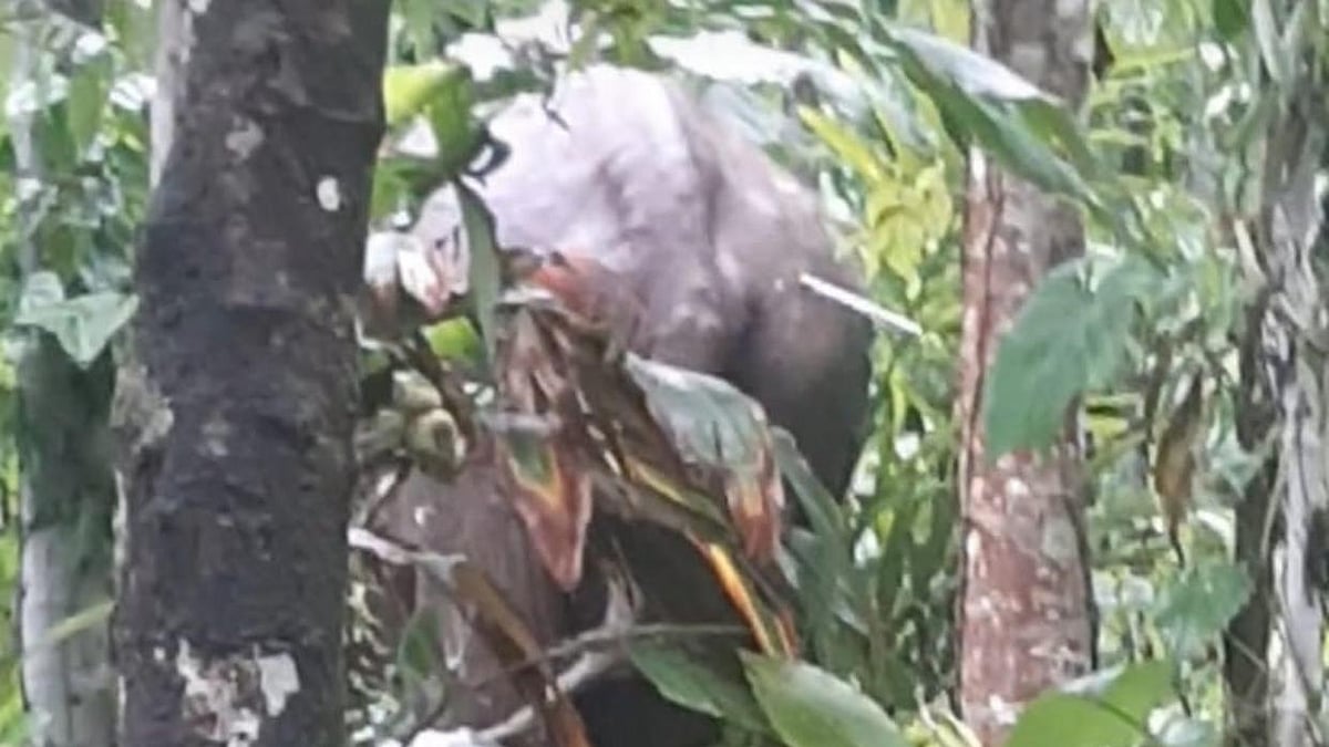 ছবি: প্রথম আলো