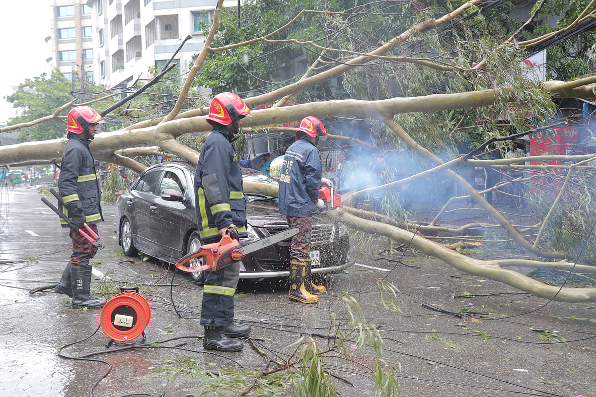 ছবি: খালেদ সরকার 