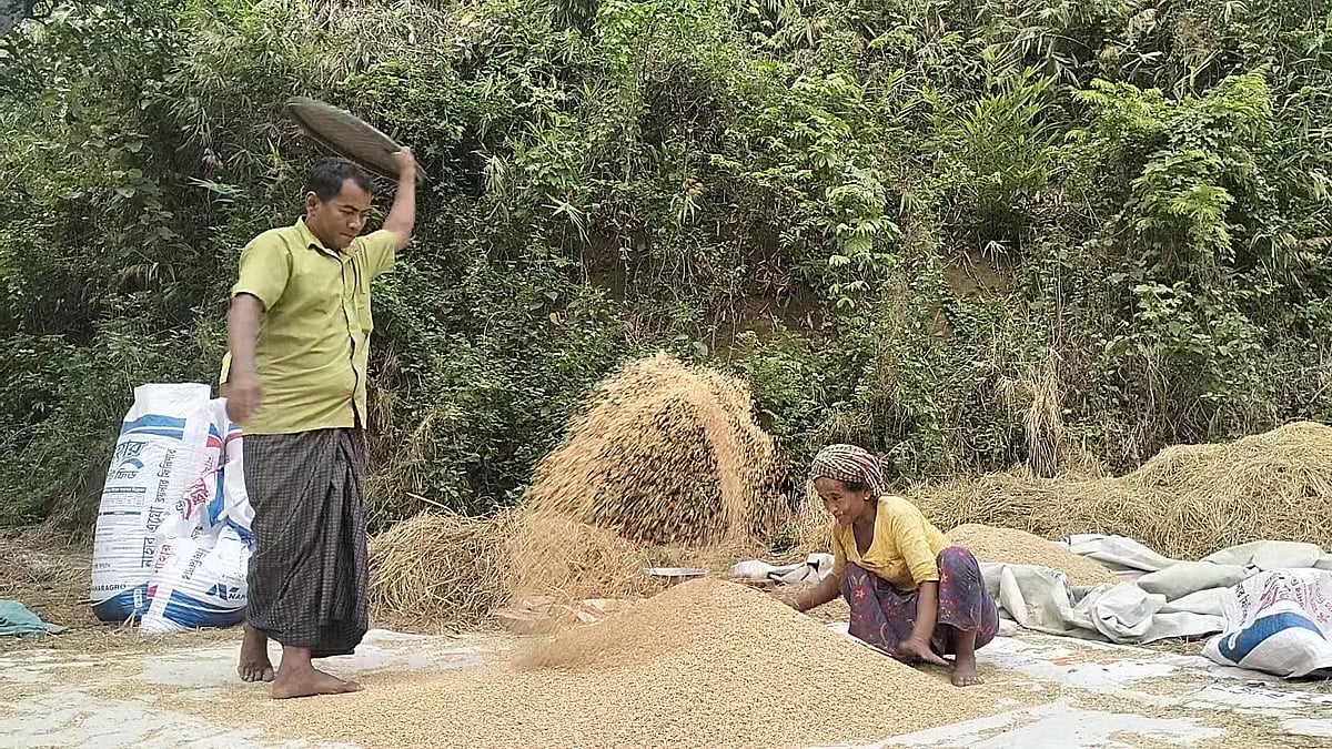 ধানের চিটা বের করছেন এক দম্পতি।