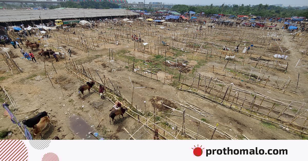 এক হাটের দর উঠেছে ১৪ কোটি টাকা, চার হাটে দরদাতা নেই এক হাটের দর উঠেছে ১৪ কোটি টাকা, চার হাটে দরদাতা নেই