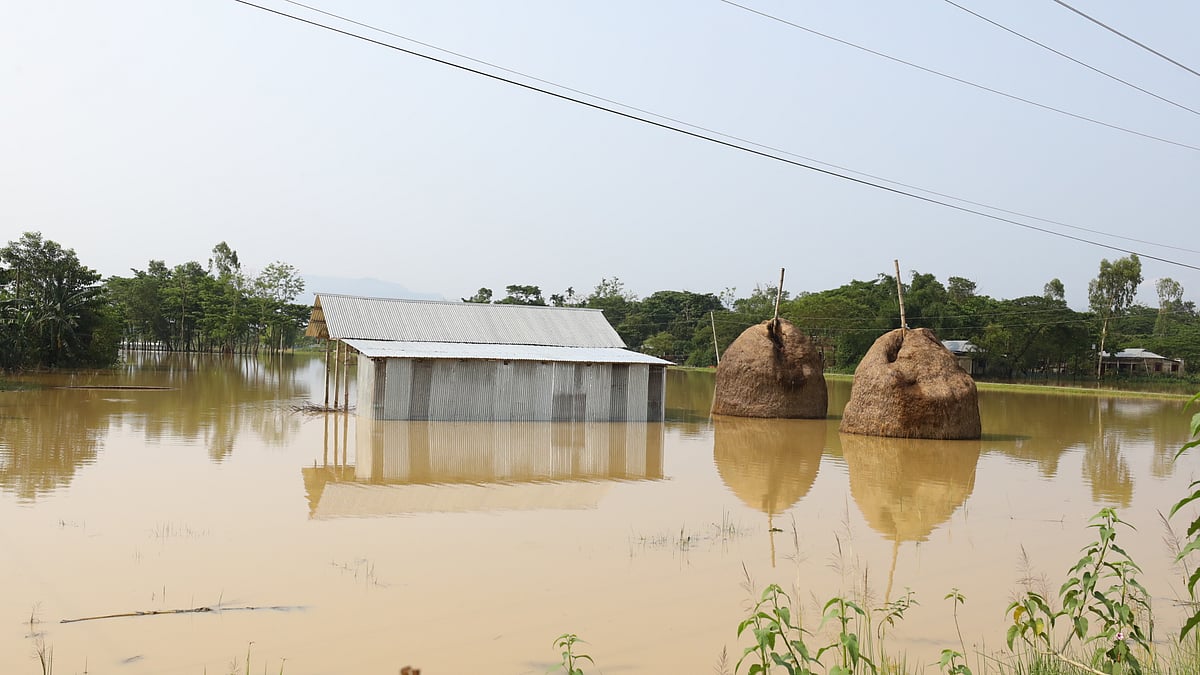 ছবি: আনিস মাহমুদ