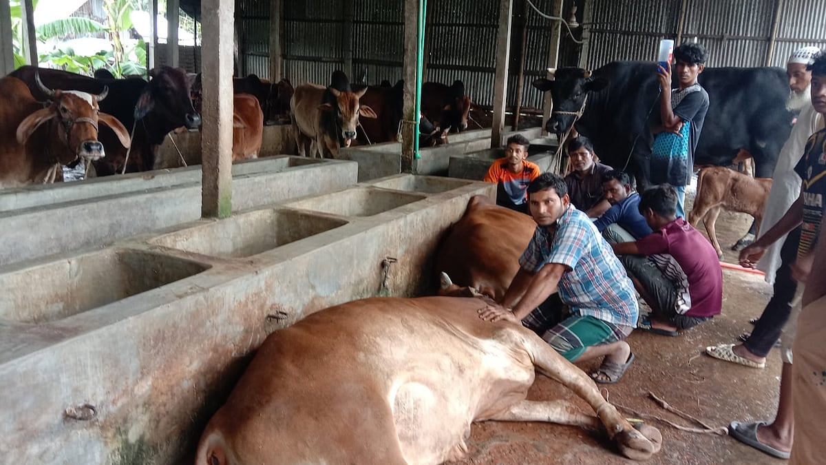 ছবি: প্রথম আলো