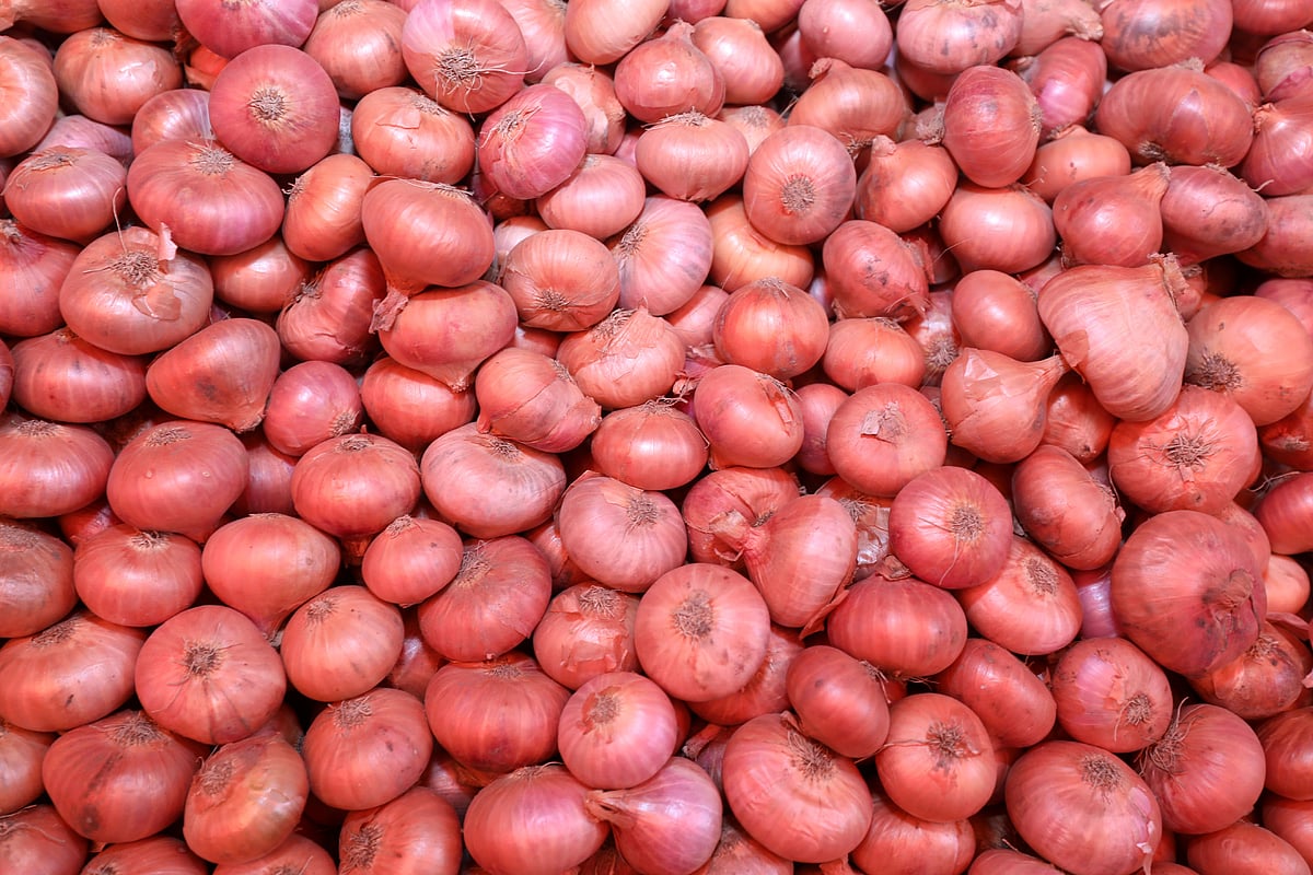 পেঁয়াজের দাম ১৫০ টাকা ছাড়াল, ডিসেম্বরে দাম বাড়ে কেন