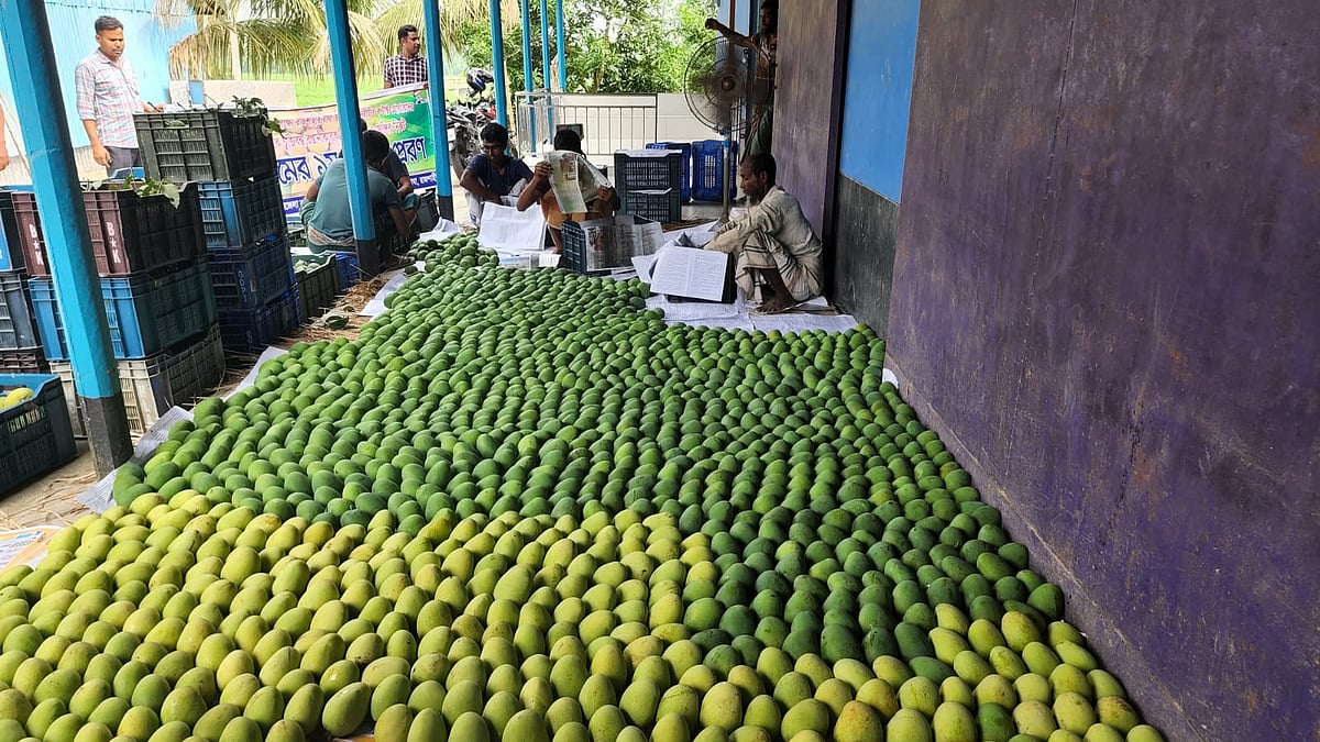 ছবি: প্রথম আলো
