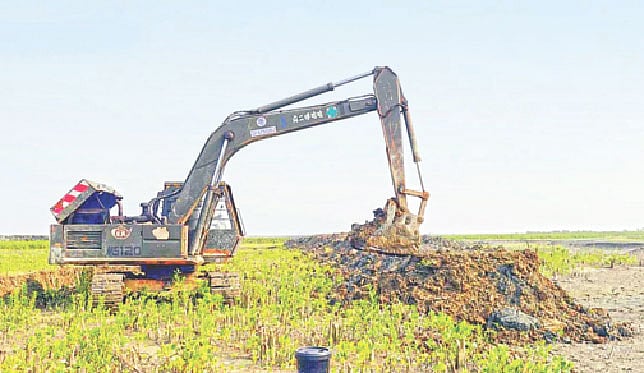 সংকটাপন্ন সোনাদিয়ায় গাছ কেটে আওয়ামী লীগ নেতাদের মাছ চাষ | প্রথম আলো